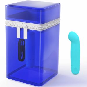 Meilleurs Vibromasseurs Point G Guide et Comparatif 2025
