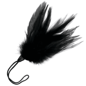 Éveille tes sens avec le Plumeau Érotique Noir Darkness
