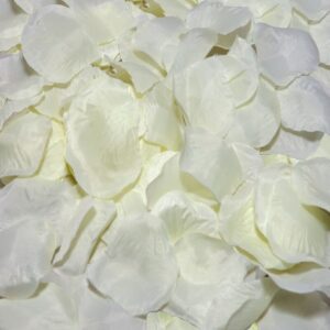 100 pétales de vanille pour une ambiance romantique et sensuelle