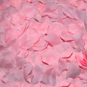 100 pétales de rose pour une mise en scène sensuelle