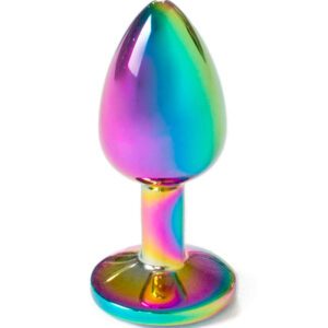 <h1>Plug anal en métal arc-en-ciel pour plaisirs sensoriels intenses</h1>