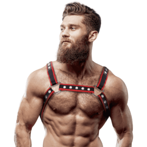 Harnais de poitrine homme sexy – style, puissance et séduction
