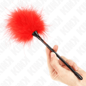 Accessoires BDSM KINK : cravaches, fouets, plumeaux et pagaies