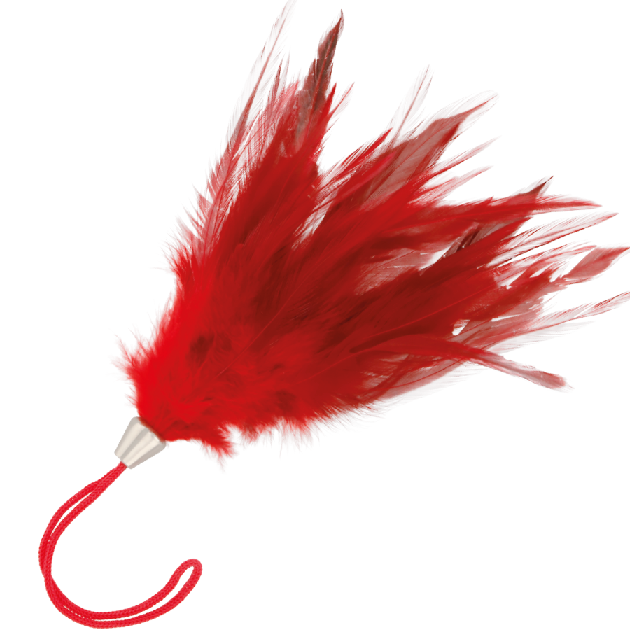 Éveille tes Sens avec le Plumeau Érotique Rouge Darkness